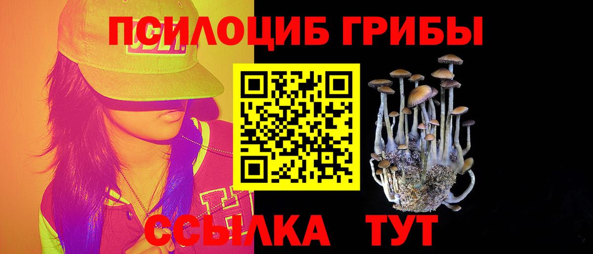 Псилоцибиновые грибы Psilocybe  Псилоцибиновые грибы прущие грибы  Вход с VPN  Самара 